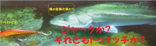 Los しんの考えるトゥイッチとジャークの違いとは ライブ オブ シーバス